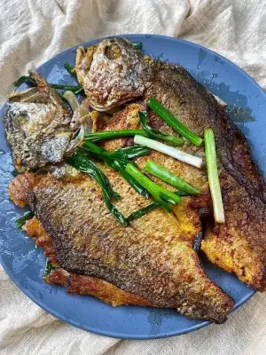 Croaker fish